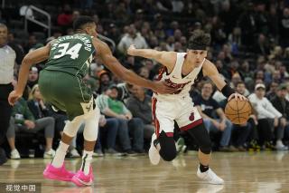 是因为他们 是因为他们